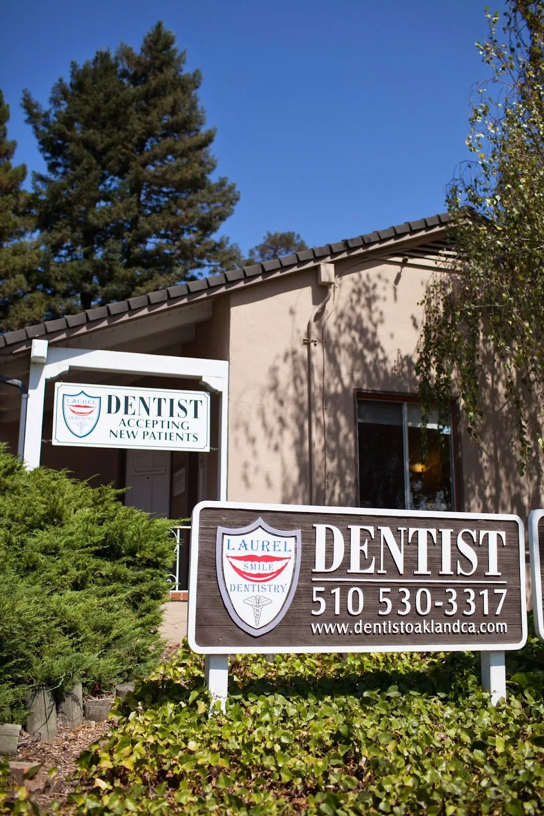Laurel Smile Dentistry photo 3