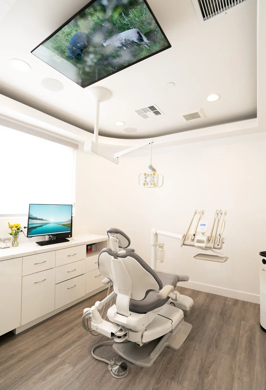 Vision Dental Montana
