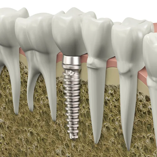 Anchorage Midtown Dental Center photo 5