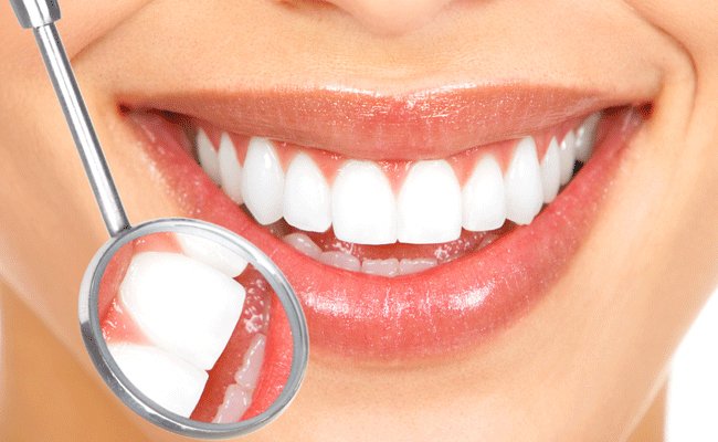 Dentistry Plus on Walkers Line photo 5
