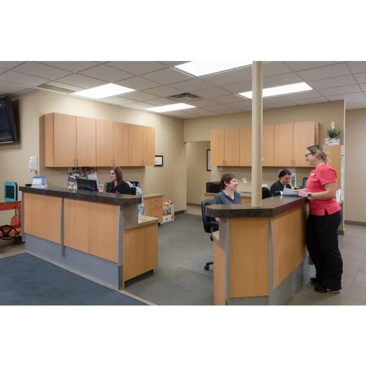 Hall Dental photo 5