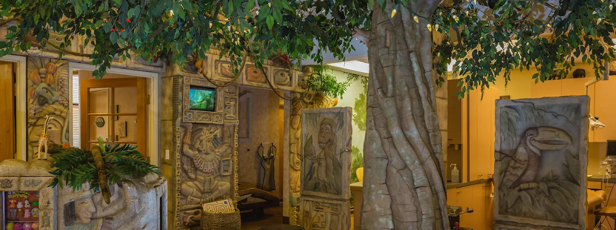 Jungle Roots Children's Dentistry & Orthodontics photo 2