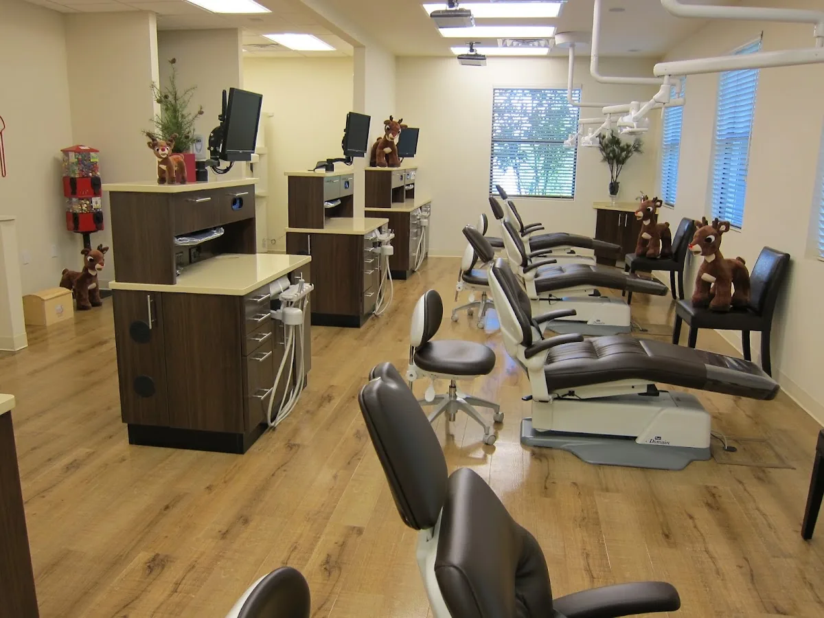 South Tampa Pediatric Dentistry photo 3