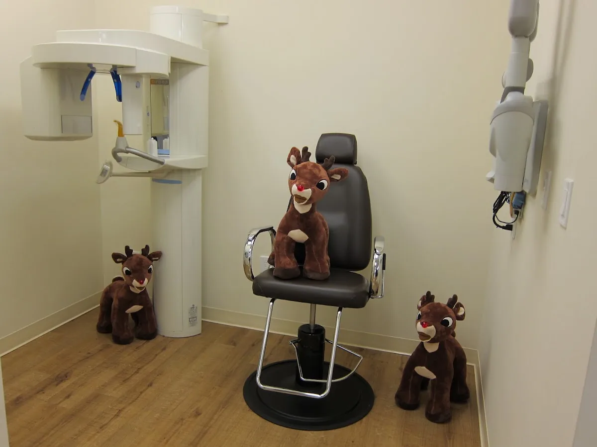 South Tampa Pediatric Dentistry photo 2