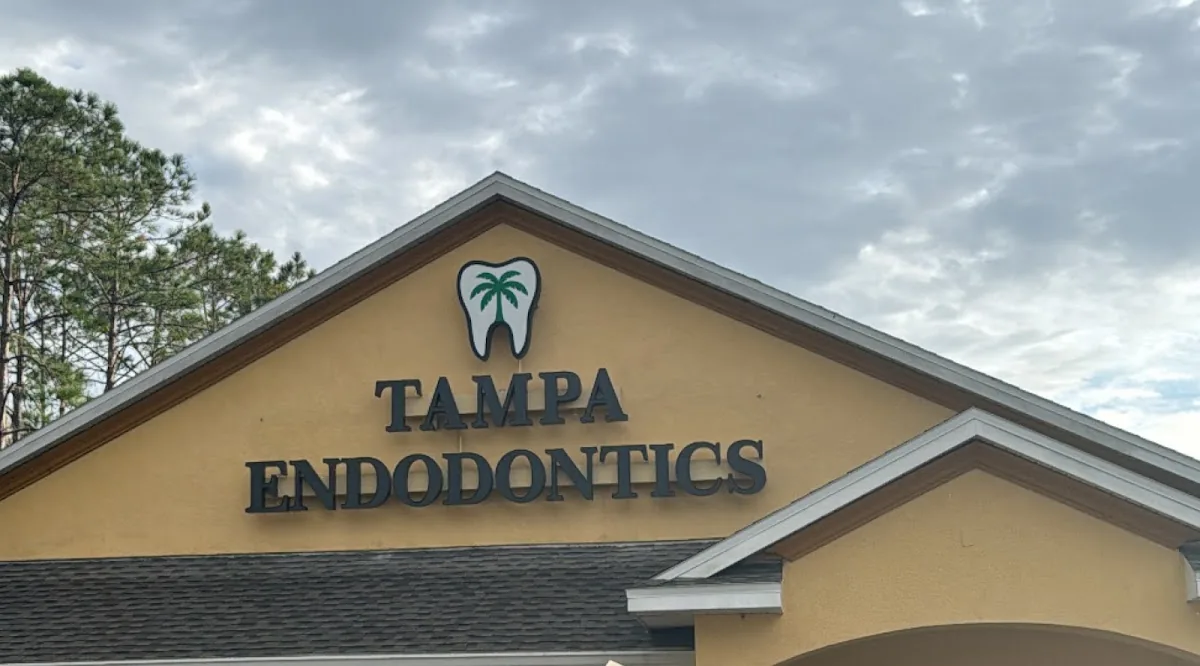 Tampa Endodontics photo 3