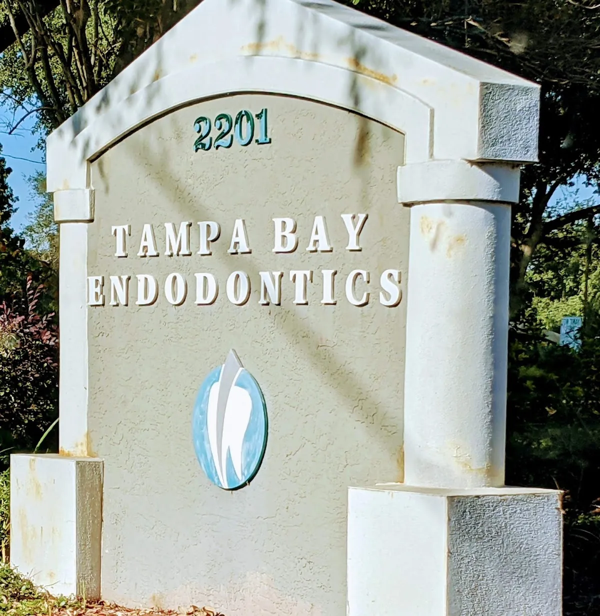 Tampa Bay Endodontics photo 3