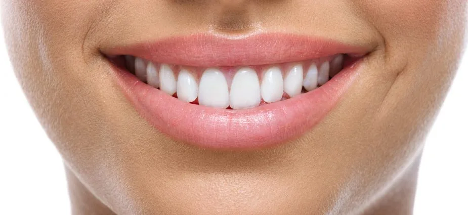 Tru-Value Dental and Denture photo 1