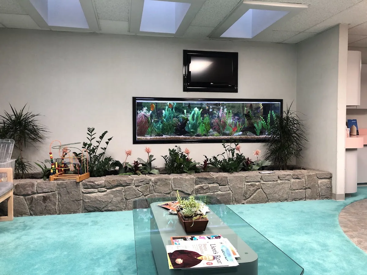 PJN Dental photo 3
