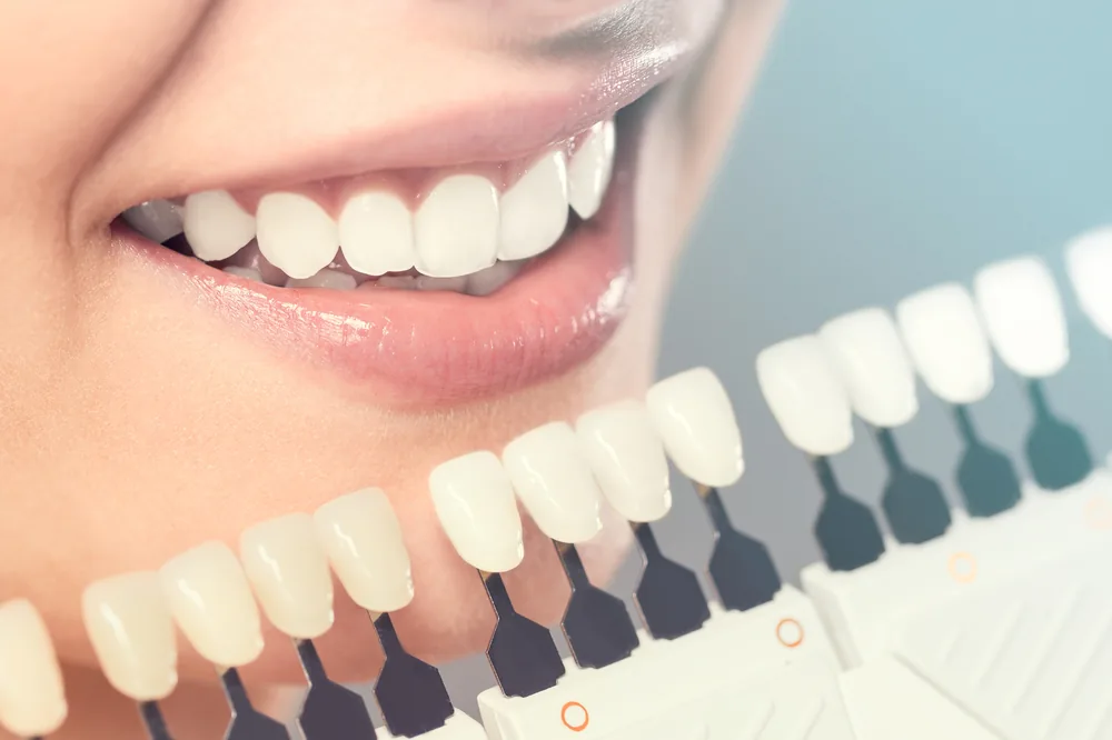 Contemporary Periodontics photo 1