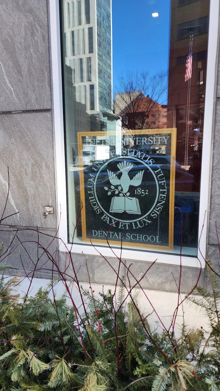 Tufts University School of Dental Medicine photo 4