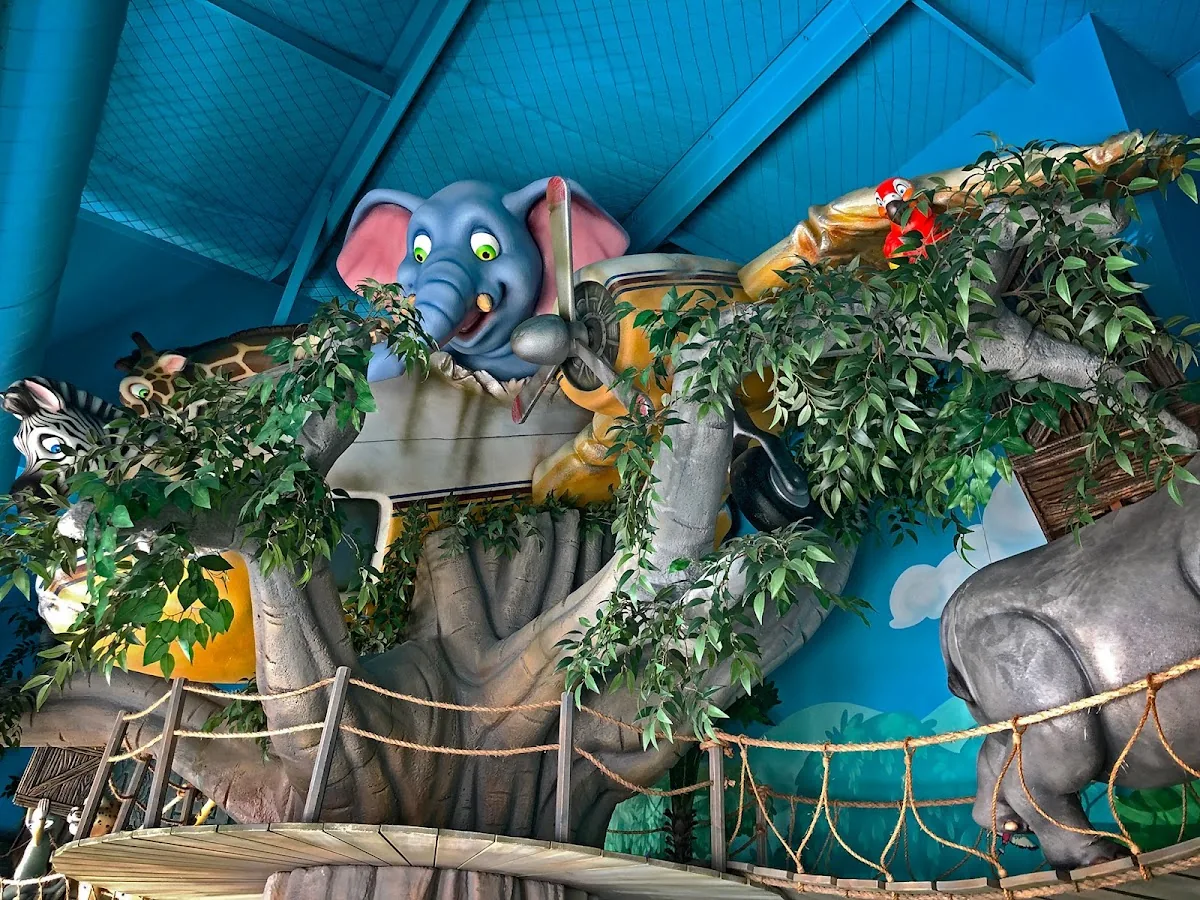 Smile Safari Pediatric Dentistry