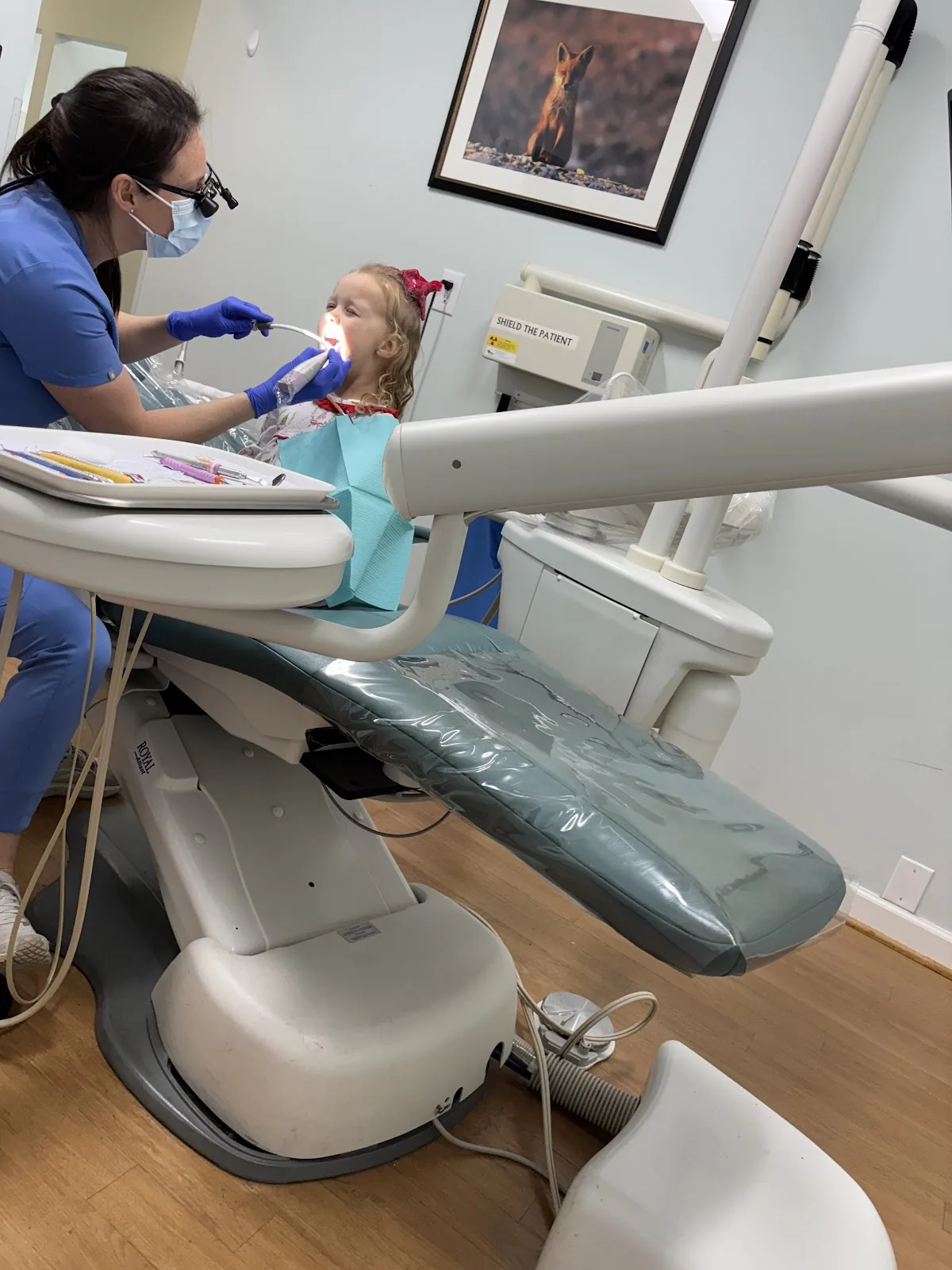 Elmtree Family Dental photo 2