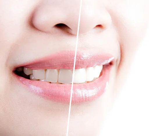 Evergreen Dental Care photo 3