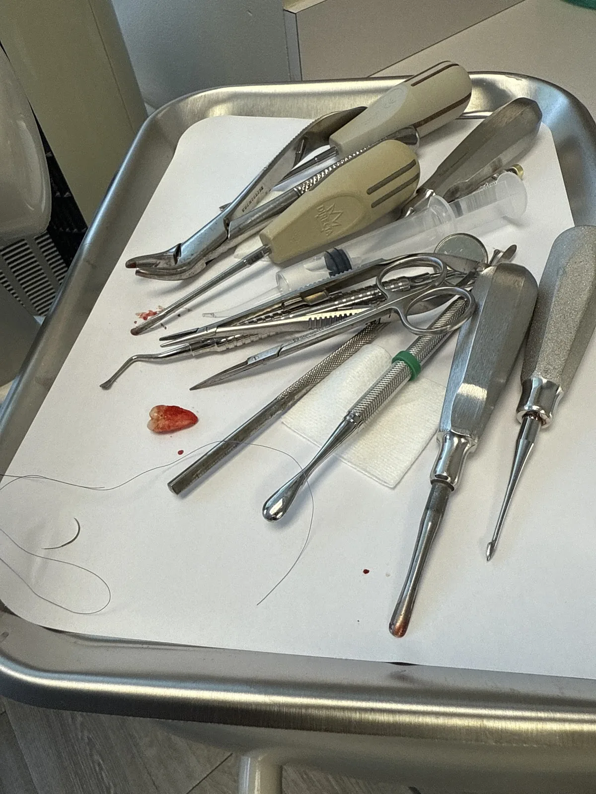 Ingber Dental photo 3