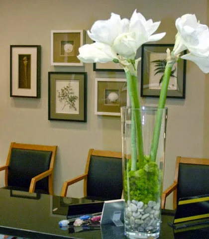 Joseph P. Yalch Jr., DDS photo 3