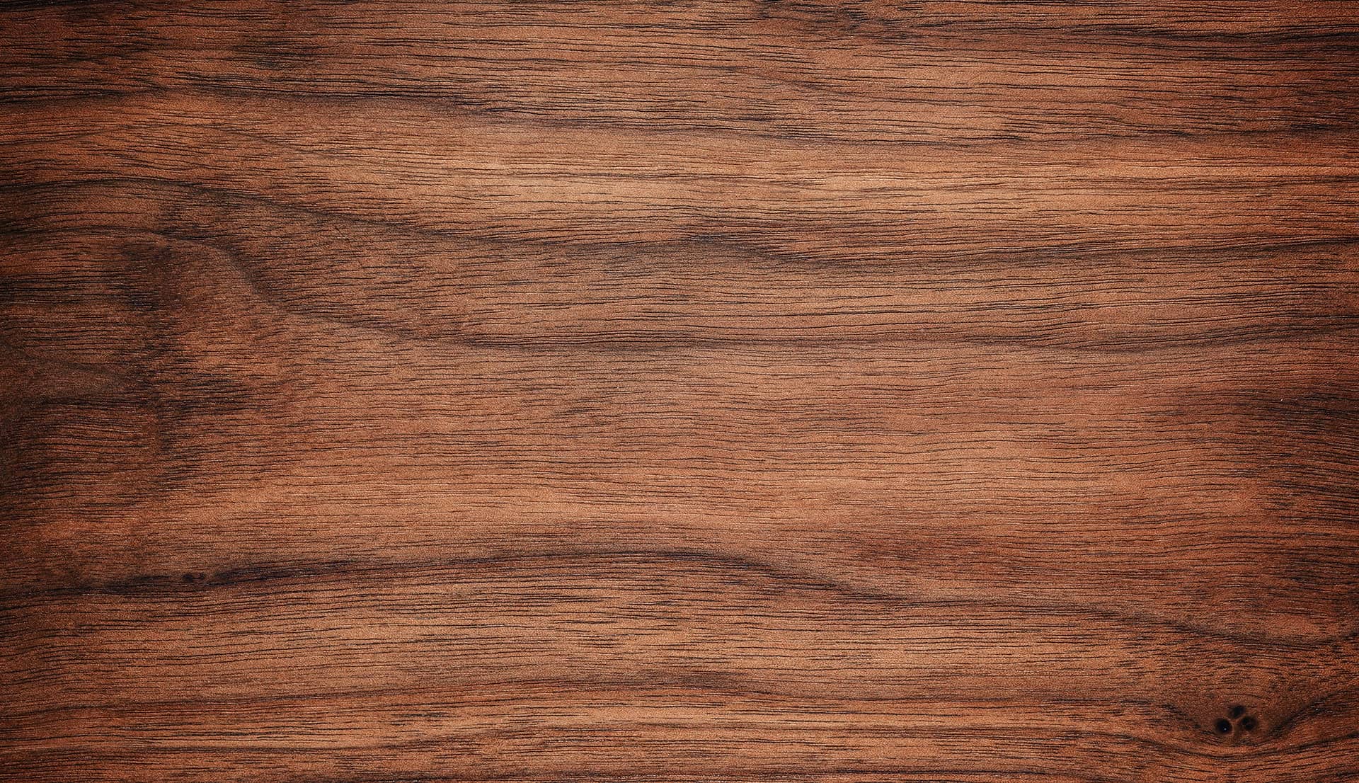 Wark Dental Group: Amy Wark DMD