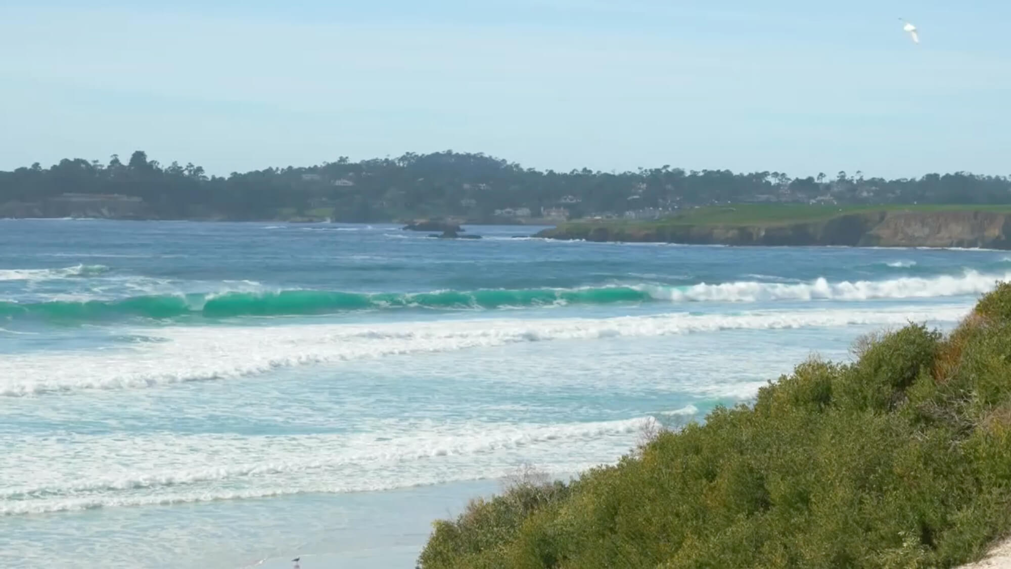 Artise Dental: Dr. Tuesta DMD