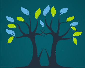 Niver & Hutchison Dental