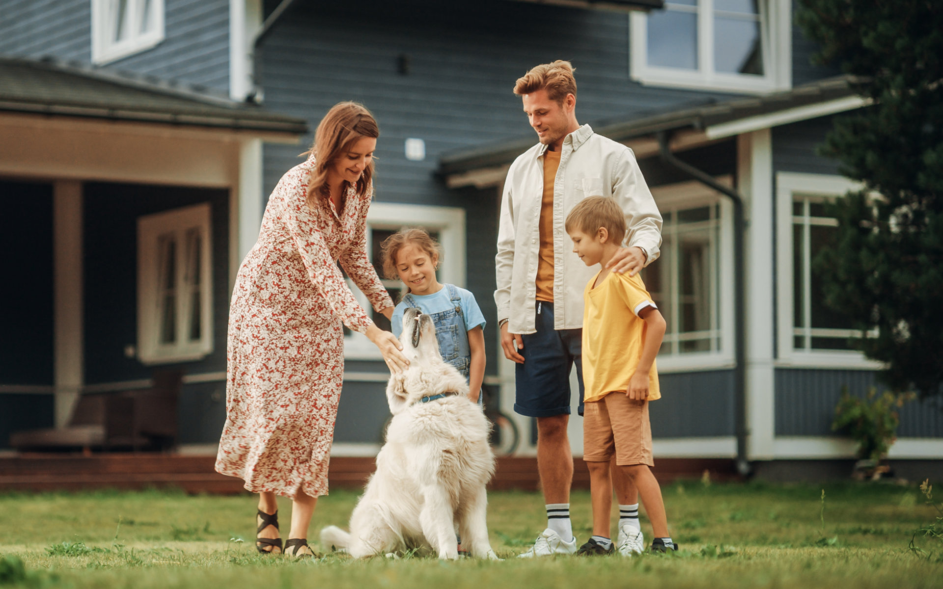 Proven Dental - Dr. James Murphy