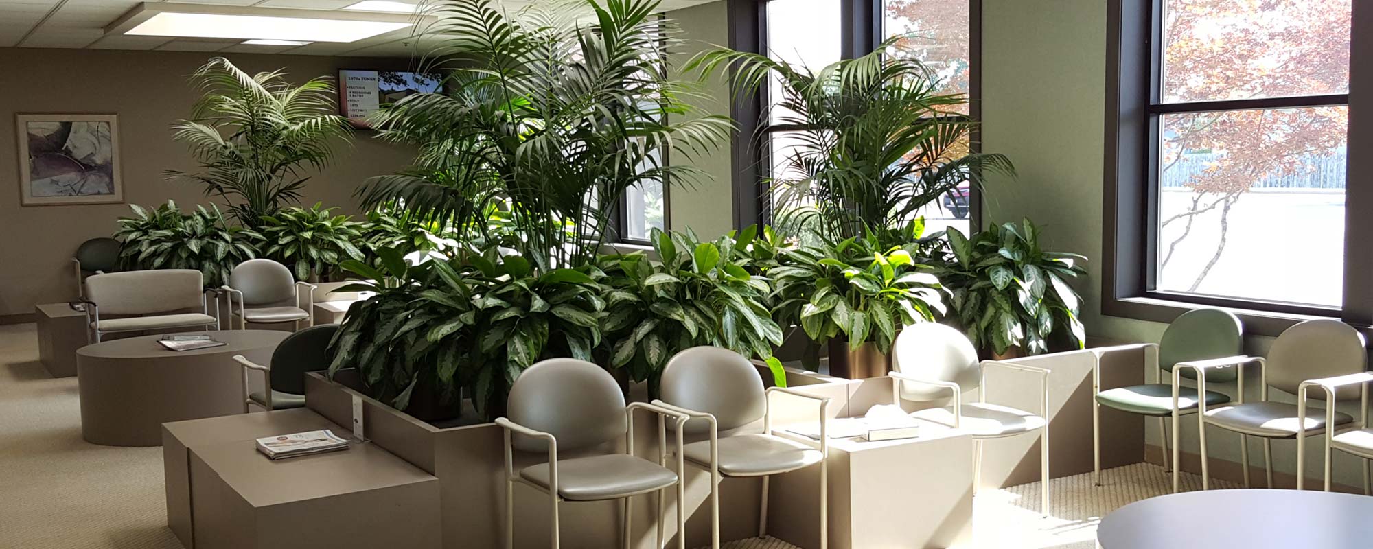 Dental Associates Kenosha