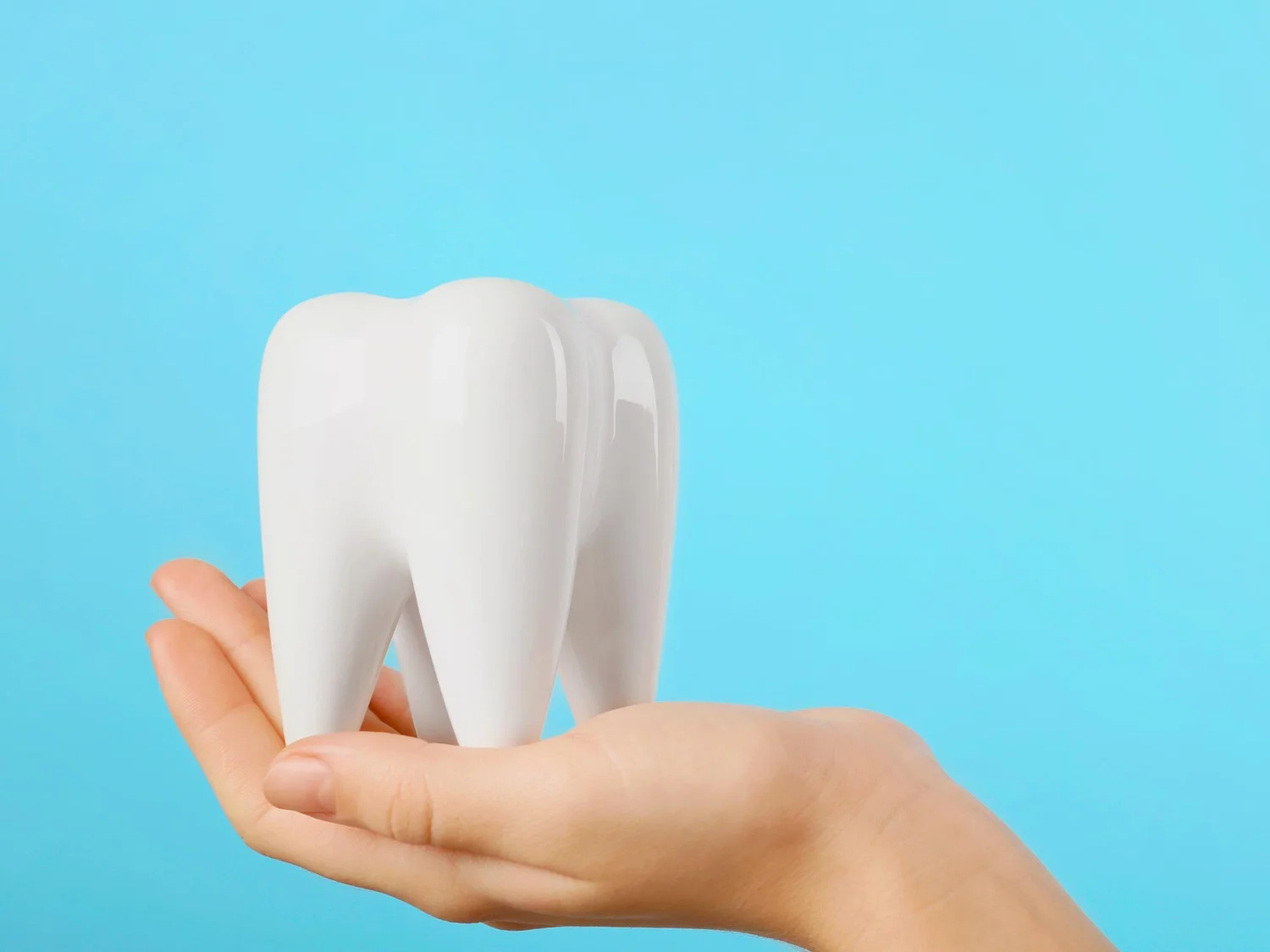 Family Care Dental Clinic