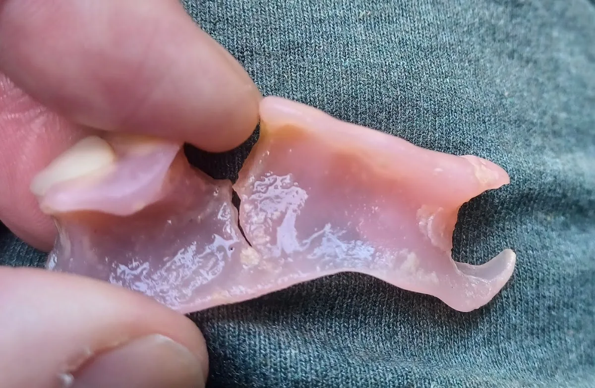 Lumino The Dentists | New Lynn photo 6