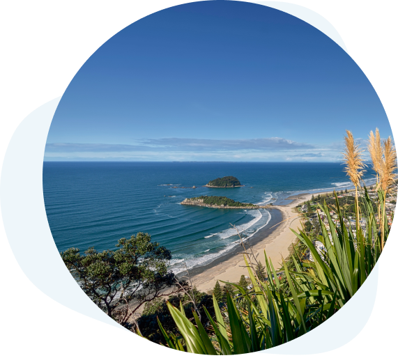 Tauranga Dental House