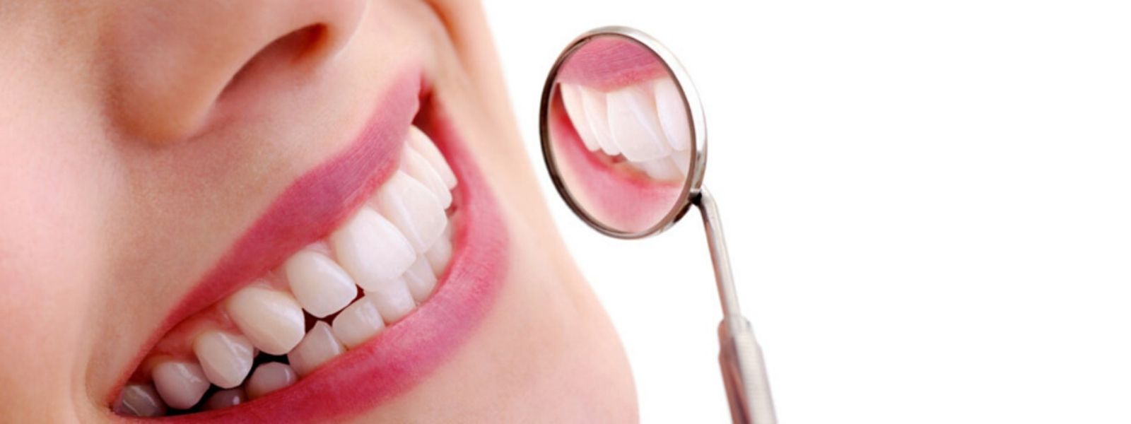 Absolute Dental Limited - Ngongotaha