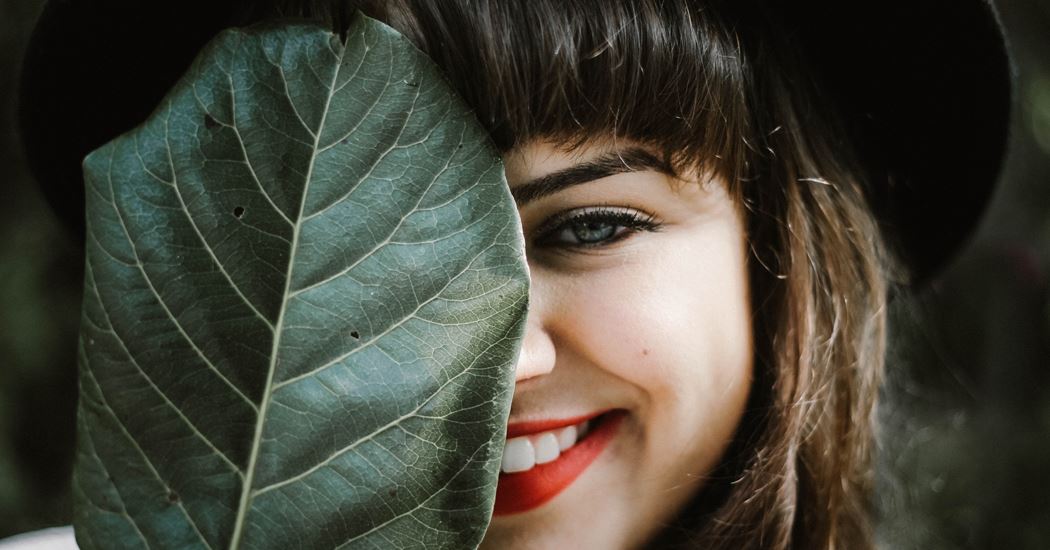 The Dentists - Taradale