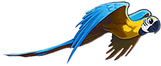 Children / Pediatric Dentistry