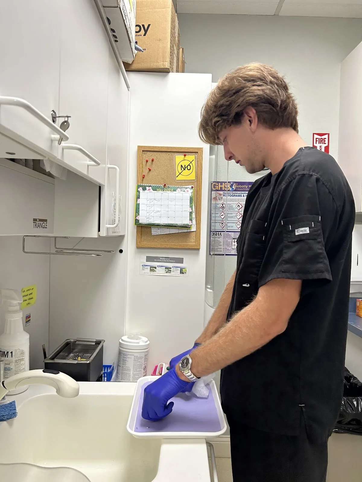 Ocean View Family Dentistry photo 5