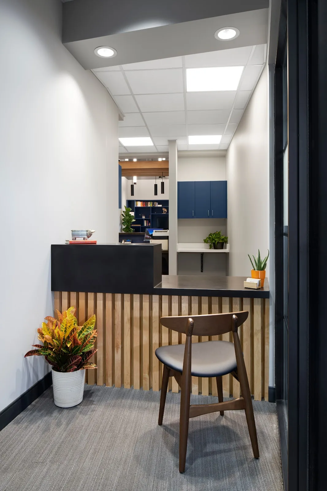 Smilodon Dental + Implants photo 1