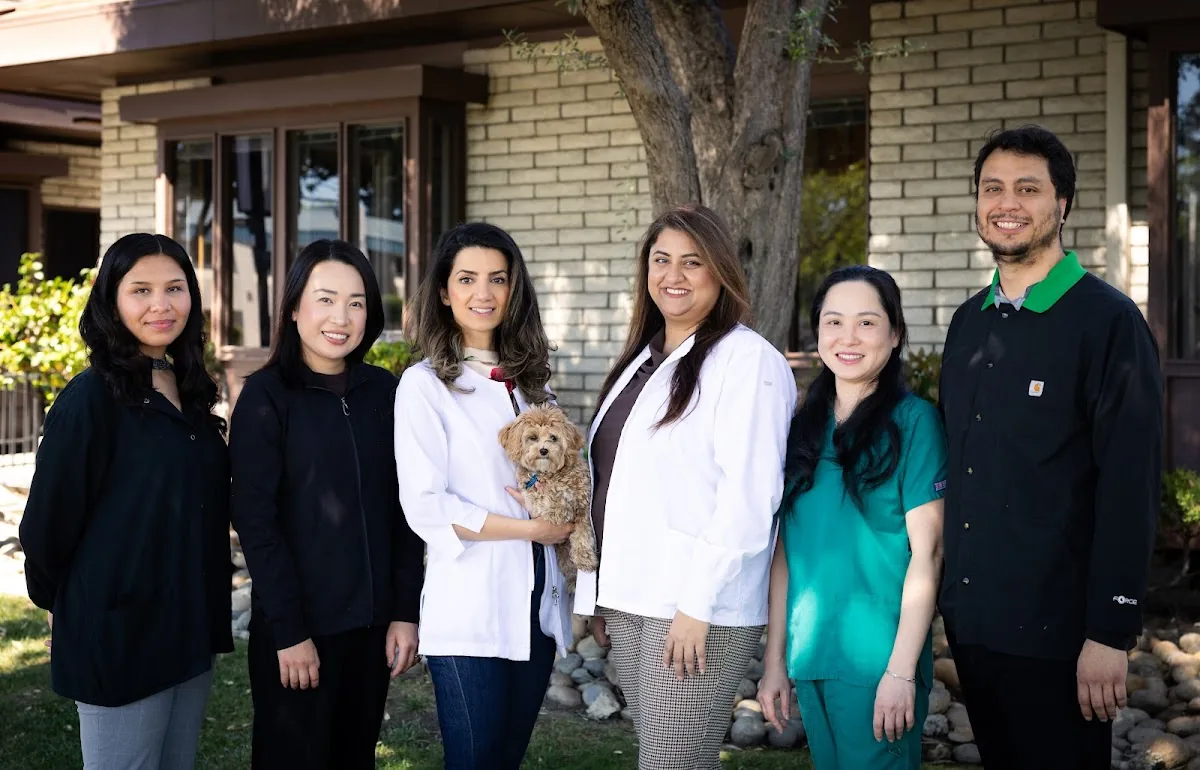 Bay Area Dental & Implant Center photo 1