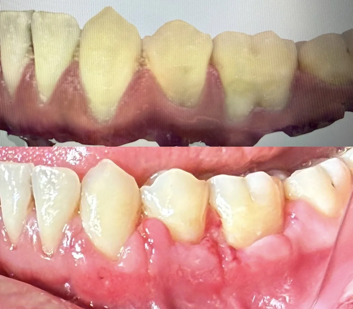 Bay Area Dental & Implant Center photo 5