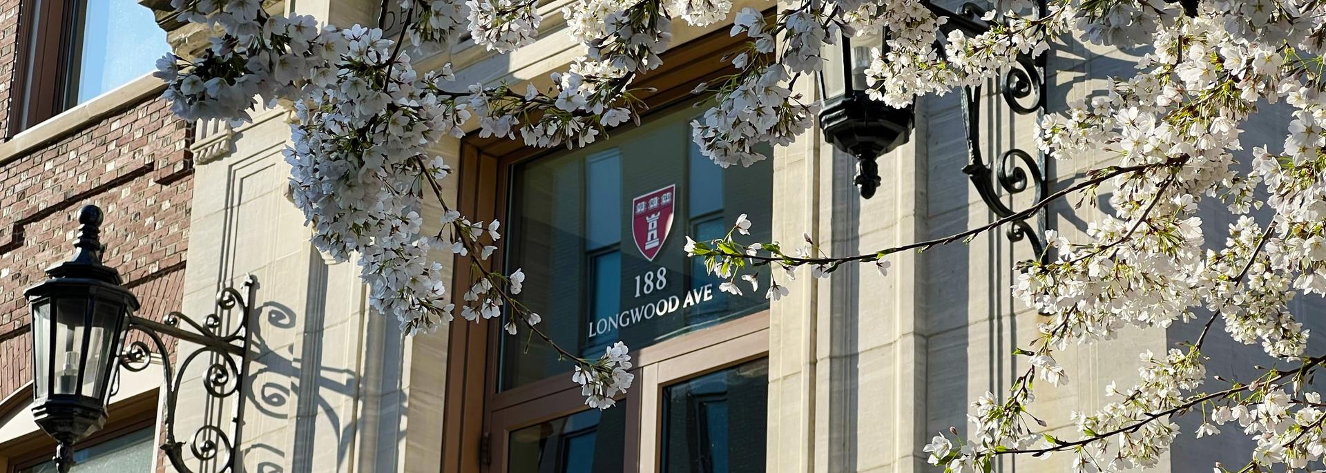 Harvard Dental Center