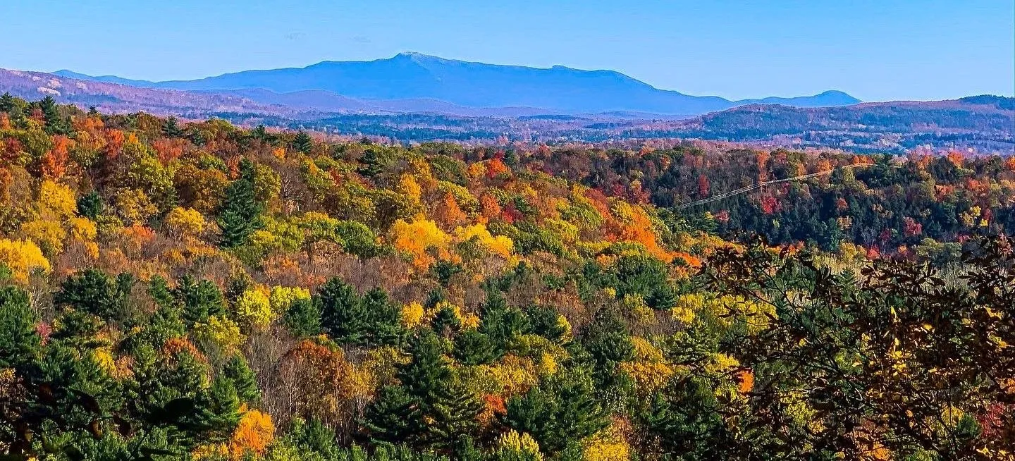 Wendy Everhart D.D.S. & Audra Pinto D.M.D