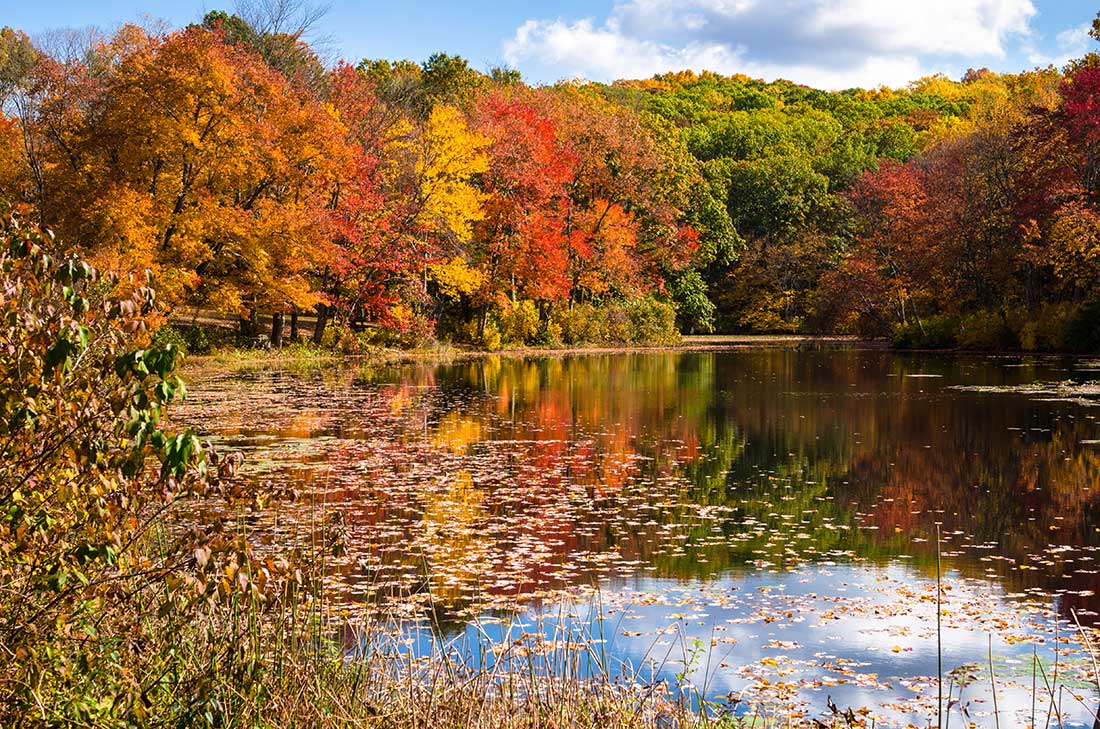 Manchester Family Dental