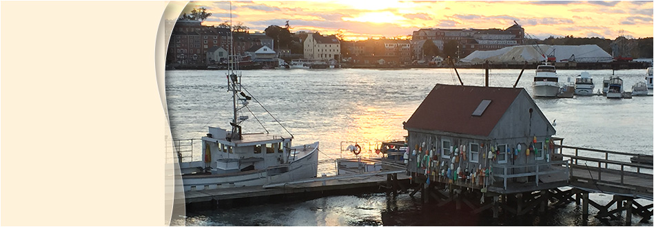 Seacoast Endodontic Associates, P.A.