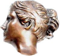 Dr. Cheryl Ann Scott, TMJ Rehabilitation & Craniofacial Occlusion