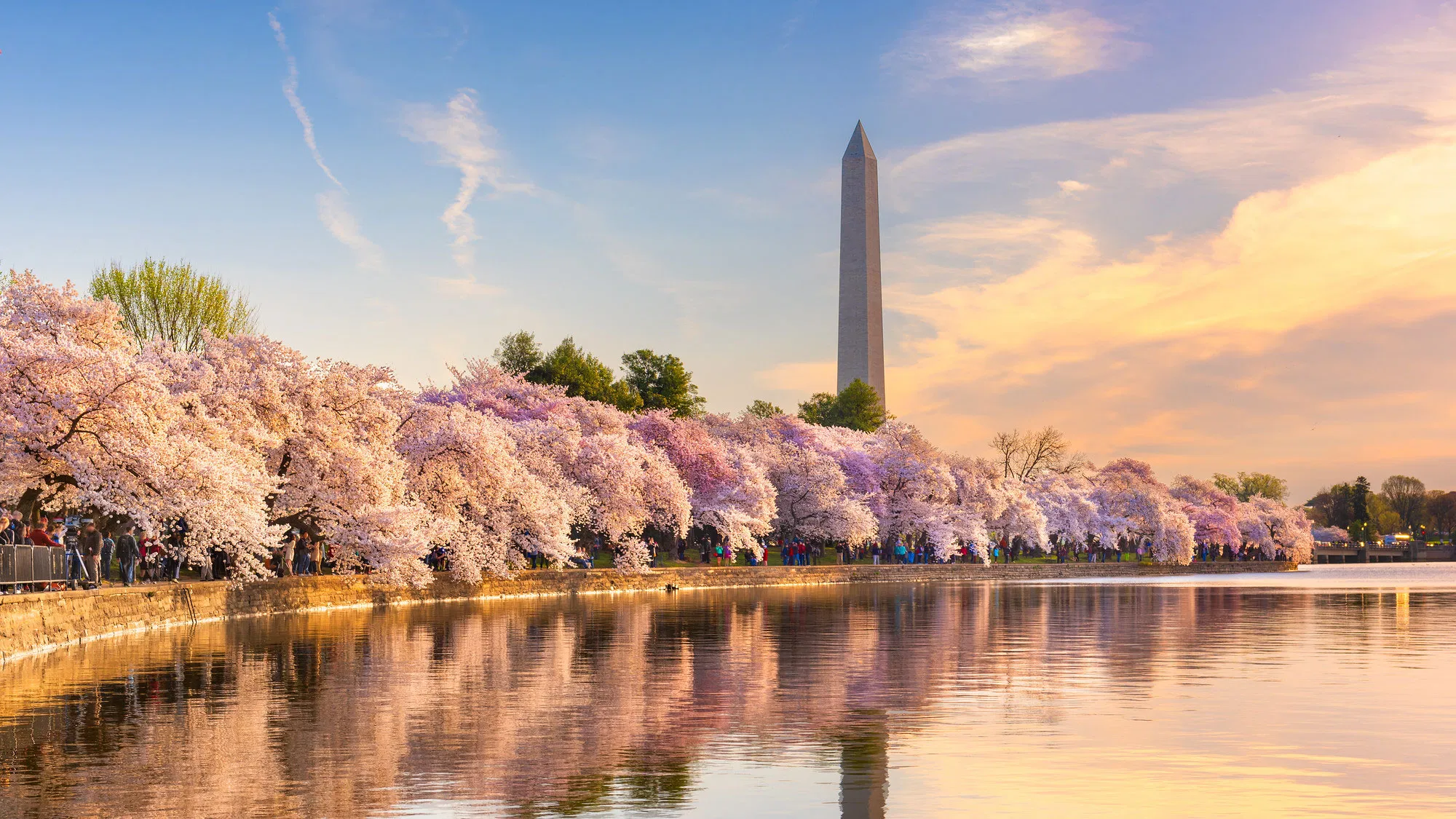 West End Dental, PLLC