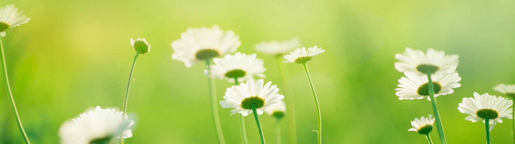 Austex Dental photo 1