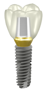 Park Dental Associates