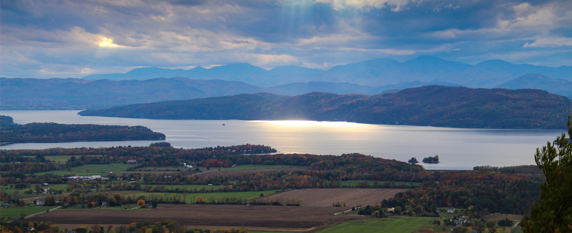 Timberlane Dental Group