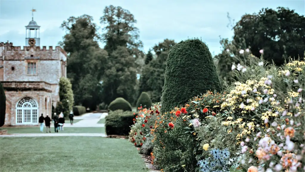 Berkeley House Dental Practice