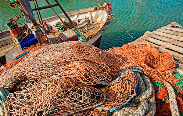 Harbour Dental Care Ltd