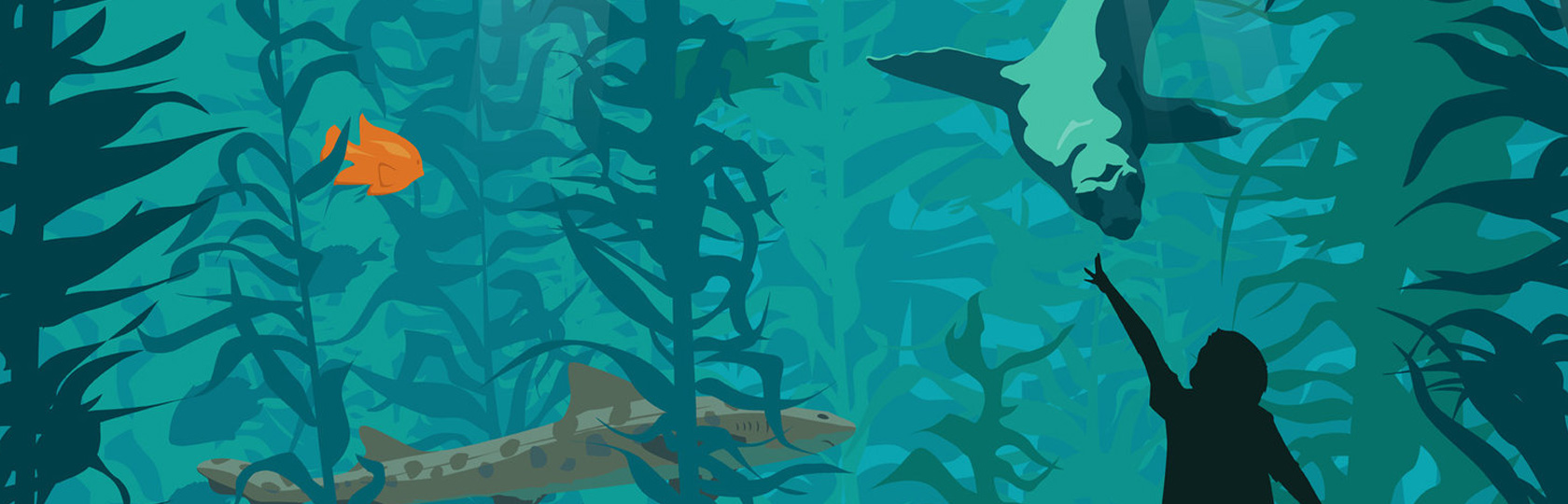 Children's Braces & Dentistry