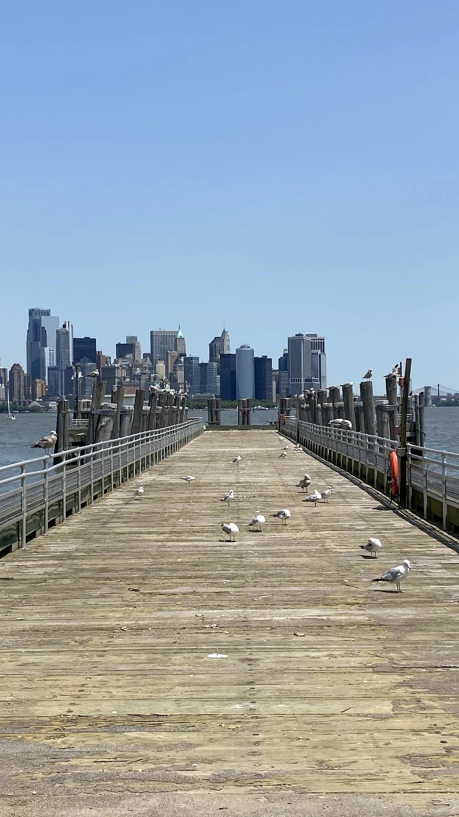 Top 10 Tooth Filling in NYC