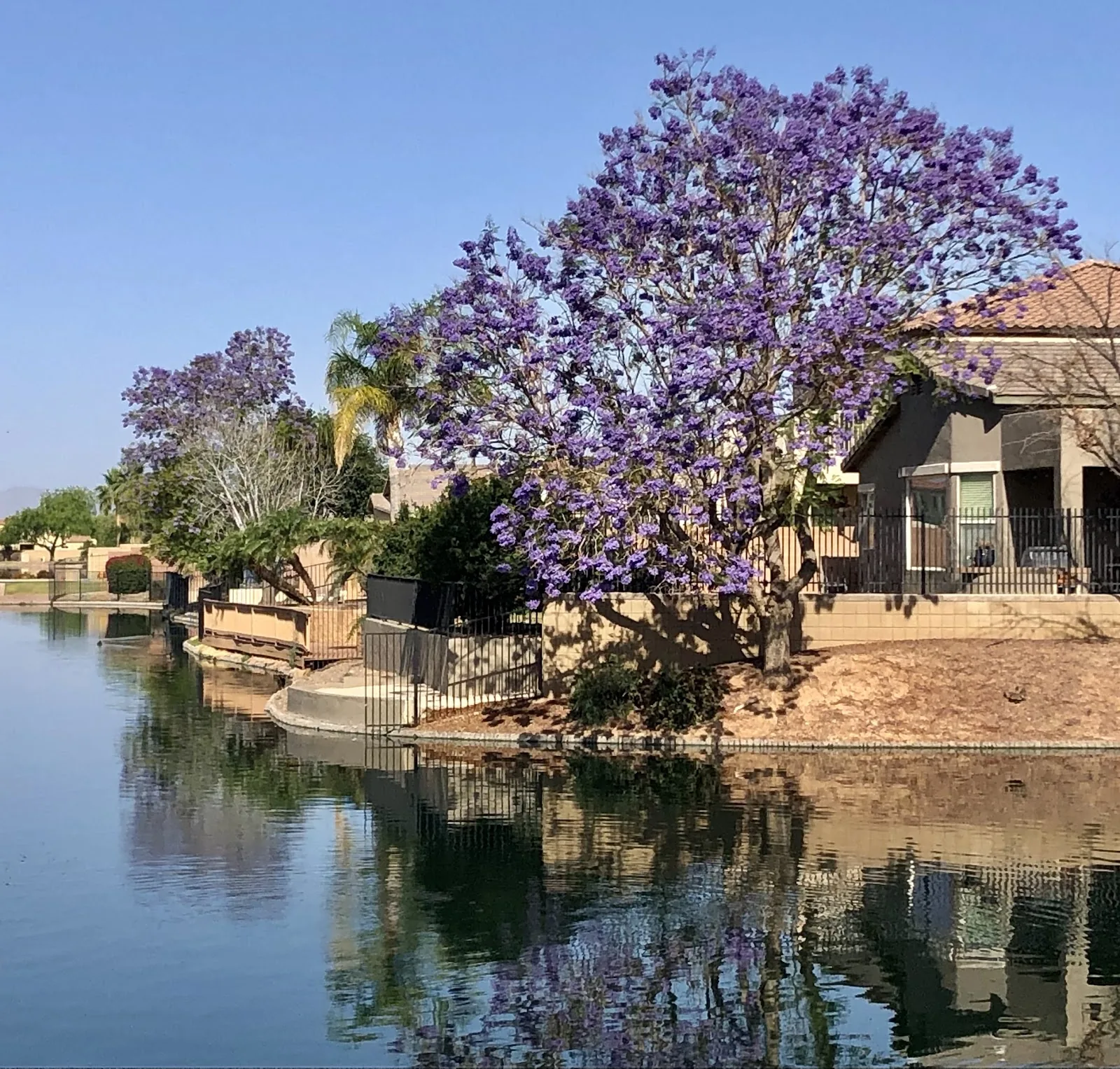 Top 10 Dental Implants in Chandler Arizona