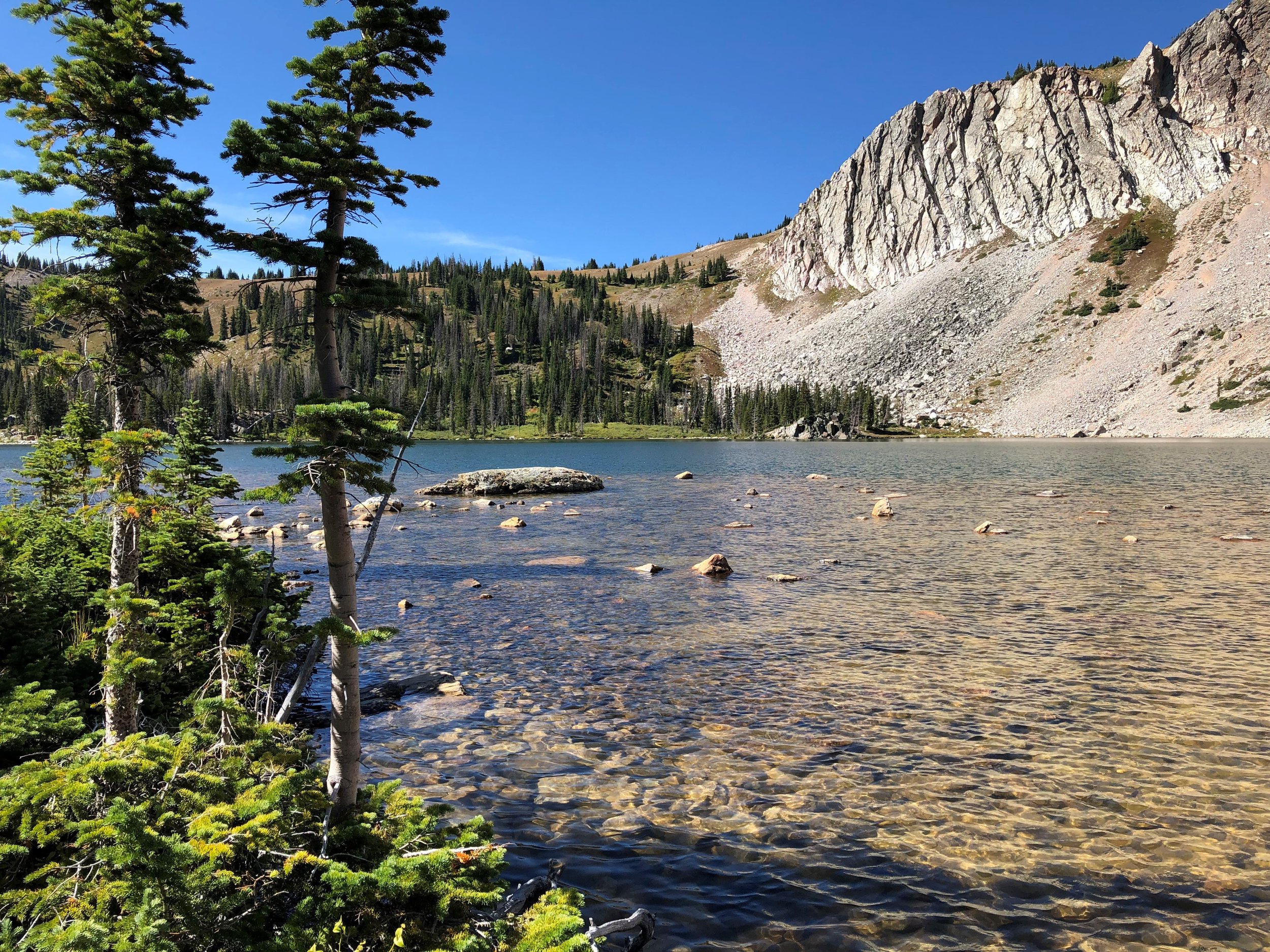 Summit View Dentistry PC