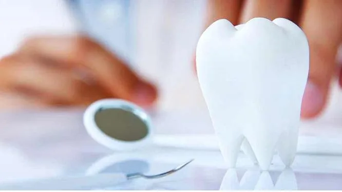 Family Dental Phoenix photo 1
